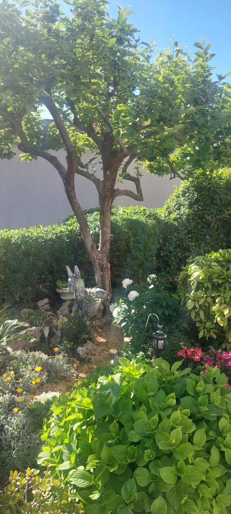 Pahljina Apartments Palit Εξωτερικό φωτογραφία